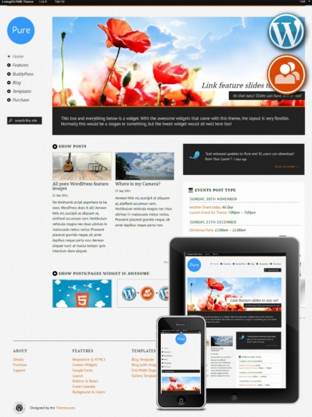 pure-wordpress-theme